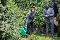 The visit concluded with King Oyo planting a tree