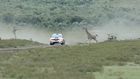 Equator Rally 2023: Who Will Conquer Africa's Toughest Terrain?
