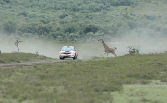 Equator Rally 2023: Who Will Conquer Africa's Toughest Terrain?