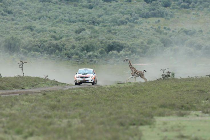 Equator Rally 2023: Who Will Conquer Africa's Toughest Terrain?