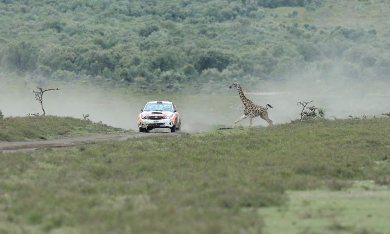Equator Rally 2023: Who Will Conquer Africa's Toughest Terrain?