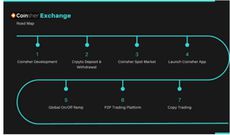Coinsher Roadmap