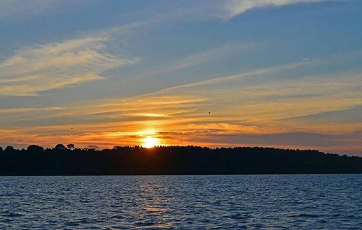 The body of a lecturer of Makerere University identified as Julius Mugaga was found floating on Lake Victoria