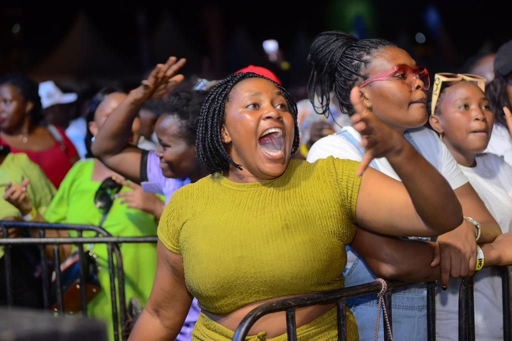 Revelers having a good time