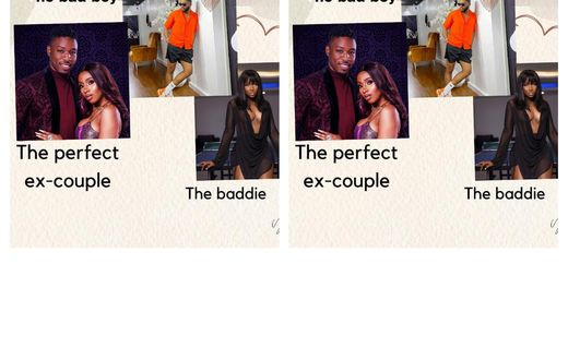 Relationship stereotypes that can be found in the Big Brother Naija All Stars house