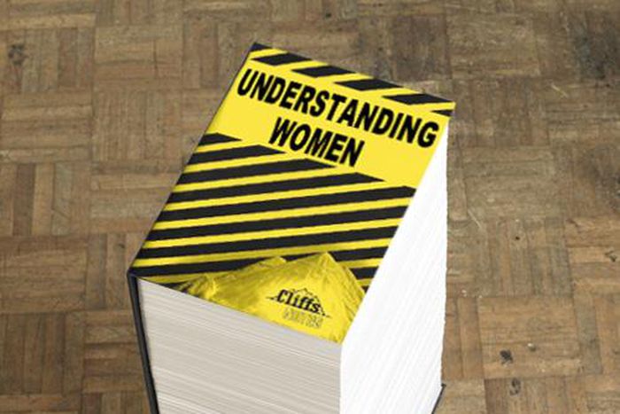Understanding women