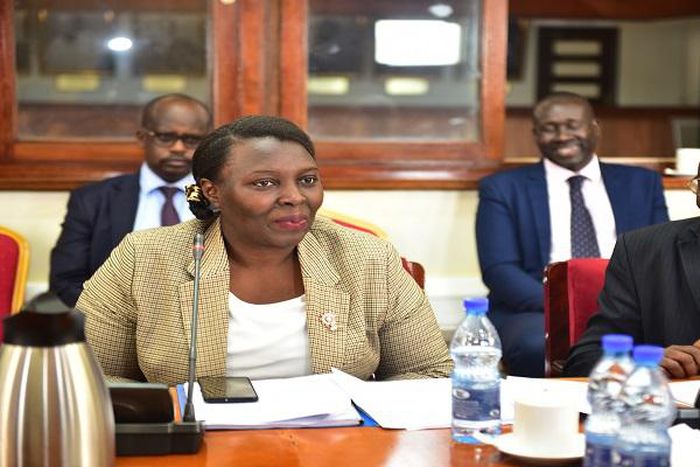 The committee concluded by advising a comprehensive evaluation of the merger, taking into account past reforms and the current state of the electricity sector.