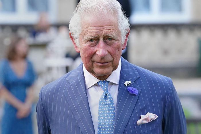 King Charles has an enlarged prostate and will be hospitalized for treatment.WPA Pool / Getty Images