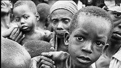 Over 733 million people faced biting hunger last year