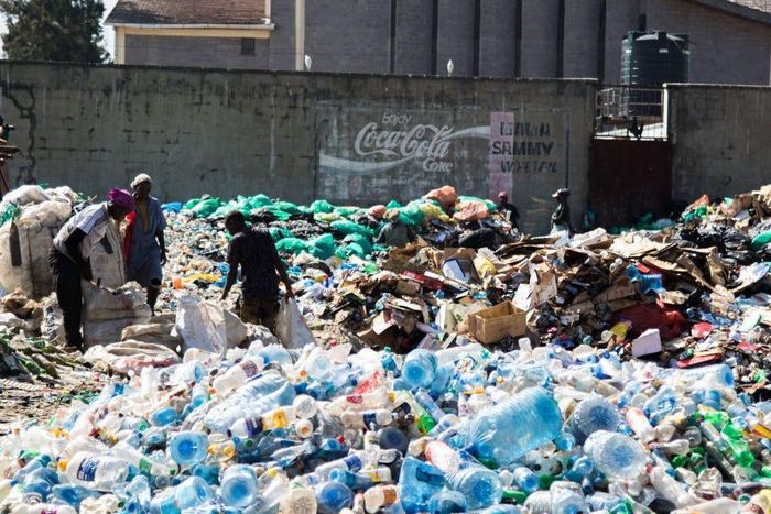 Countries sign plastic-pollution, biodiversity deals