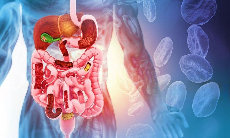 8 effective natural laxatives for stomach relief/Courtesy
