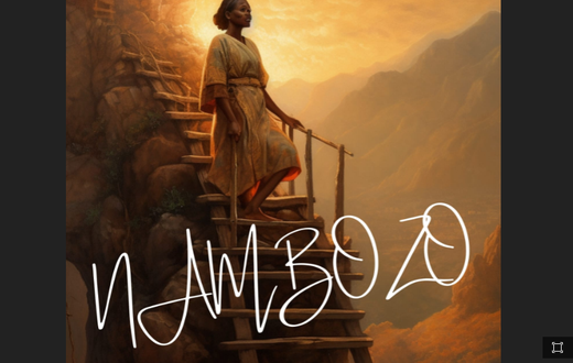 Nambozo is a documentary film highlighting the struggles of a health worker in eastern Uganda