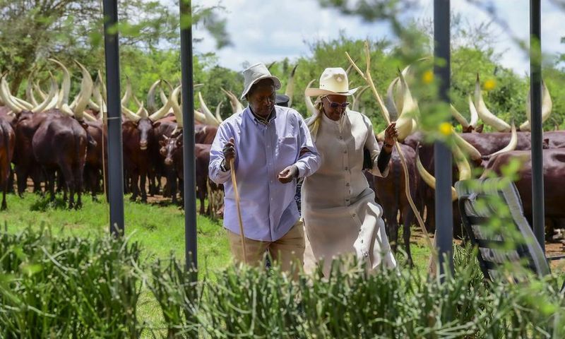 President Museveni and First Lady Janet at their Kisozi ranch