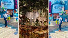 Chosen Becky captivated by Niagara Falls, it's better than Geography teachers said/COURTESY