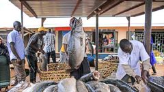 Mbarara fish vendors protest Shs422,000 excess fees/Courtesy