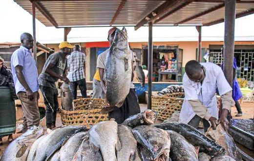 Mbarara fish vendors protest Shs422,000 excess fees/Courtesy