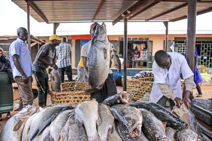 Mbarara fish vendors protest Shs422,000 excess fees/Courtesy