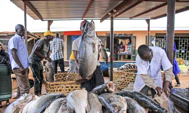 Mbarara fish vendors protest Shs422,000 excess fees/Courtesy