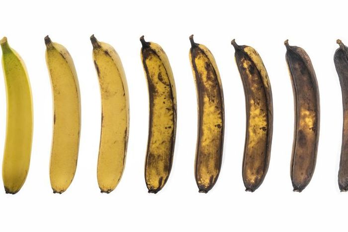 The penis changes as you age [TheAtlantic]