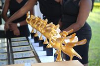 A total of 307 films were submitted, a record number.