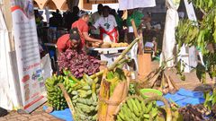 Some of the indigenous foods on show at the expo
