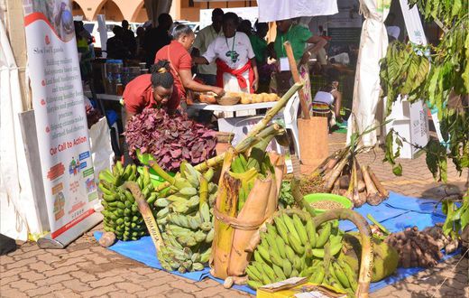 Some of the indigenous foods on show at the expo