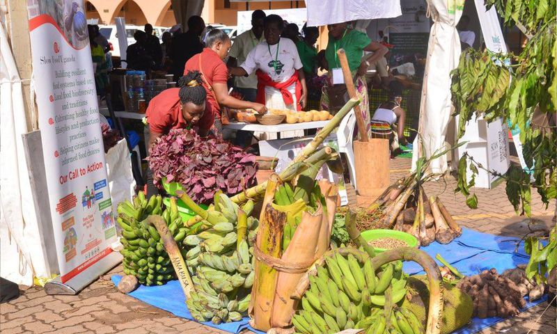 Some of the indigenous foods on show at the expo