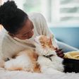 Cats are perfect companions [iStock]