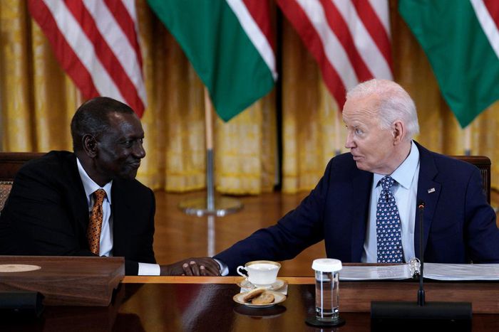 Biden to visit Africa in February if he wins election