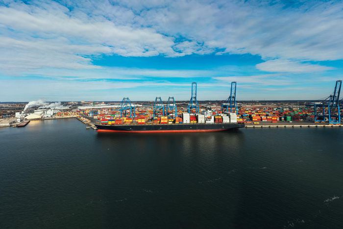 Government fences off farmers, robbers in new commitment to quality vanilla export/Courtesy