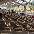 Kololo ceremonial grounds