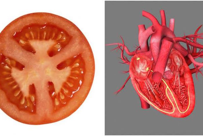 tomatoes  [Healthista]