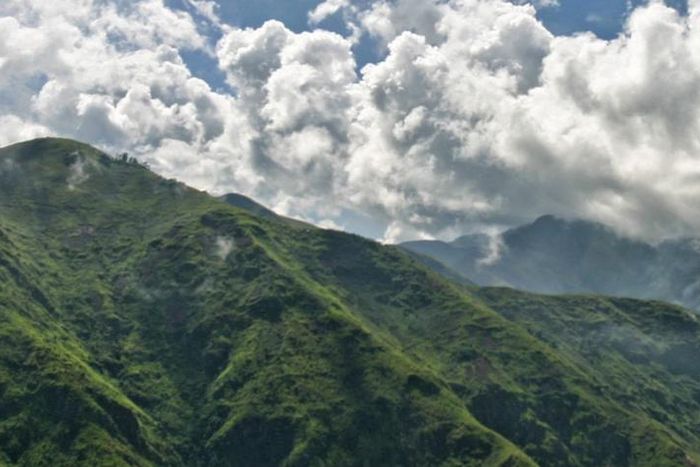 Top 10 most biodiverse countries in Africa