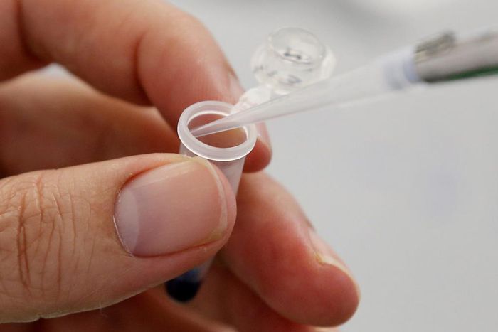 By August 2015, the FDA began investigating Theranos, and regulators from the government body that oversees laboratories found "major inaccuracies" in the testing Theranos was doing on patients.