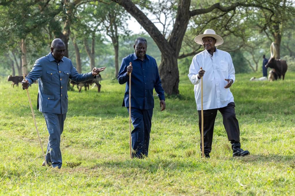 President William Ruto, Uganda's President Yoweri Museveni, and former Prime Minister Raila Odinga meet in Uganda