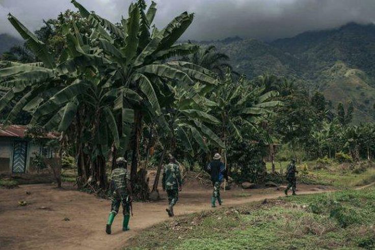 ADF rebels are wreaking havoc in the eastern part of DRC