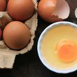 Eggs [Shutterstock/tHaNtHiMa LiM]