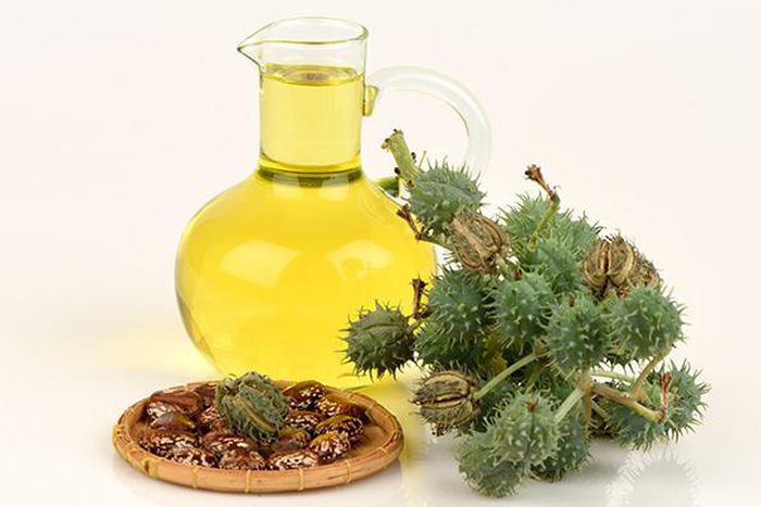 Castor oil benefits (ohthatglow)