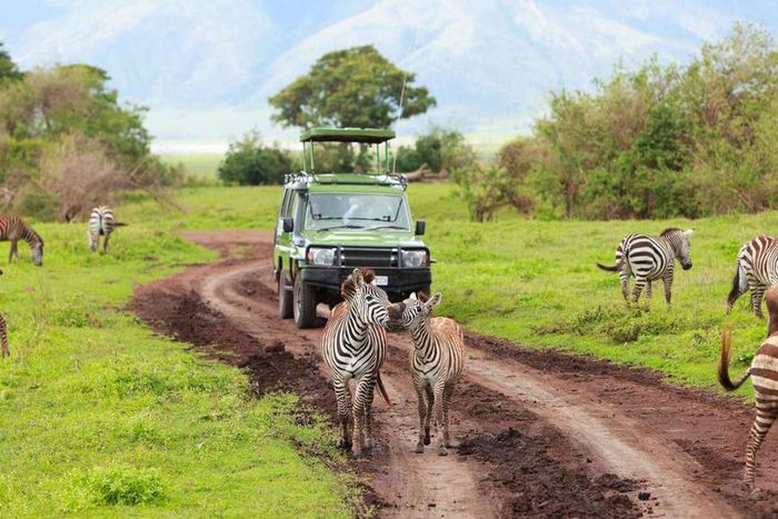 Mount Elgon National Park