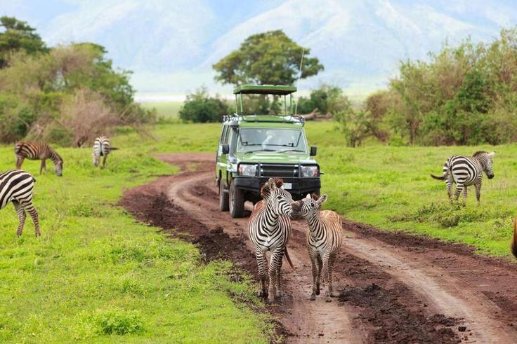 Mount Elgon National Park