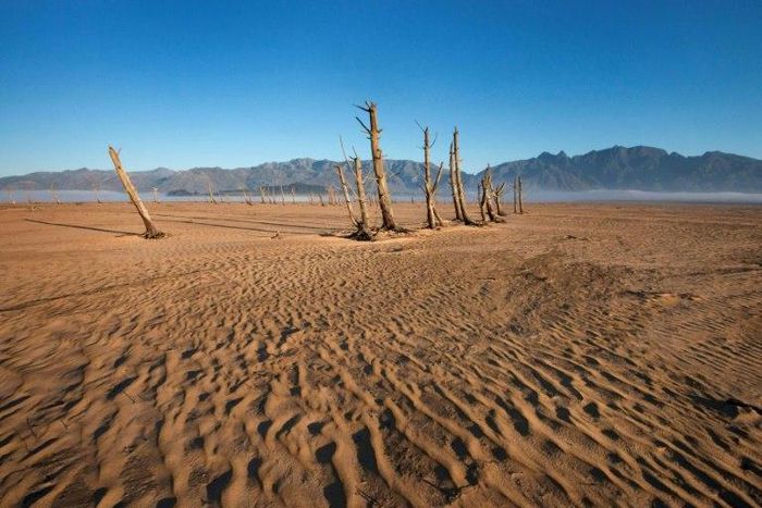 The planet's record-breaking hot weather has caused severe drought in places like here in South Africa.