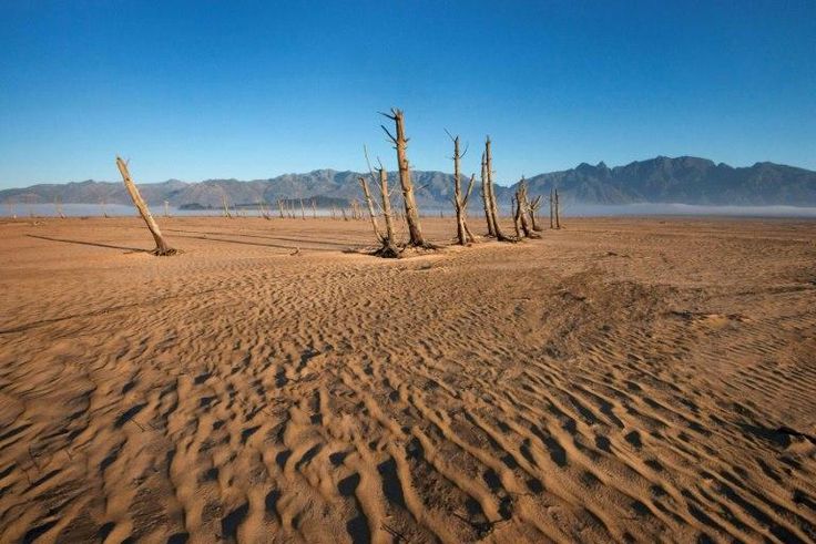 The planet's record-breaking hot weather has caused severe drought in places like here in South Africa.