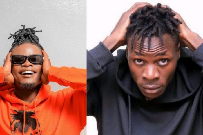 Pallaso and Alien Skin