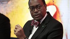 Akinwunmi Adesina fights for his life as AfDB President (Bloomberg)