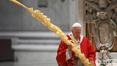 Pope Francis celebrated Palm Sunday mass behind closed doors at St Peter's on Sunday