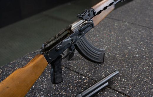 Gun