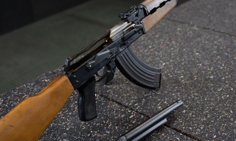 Gun