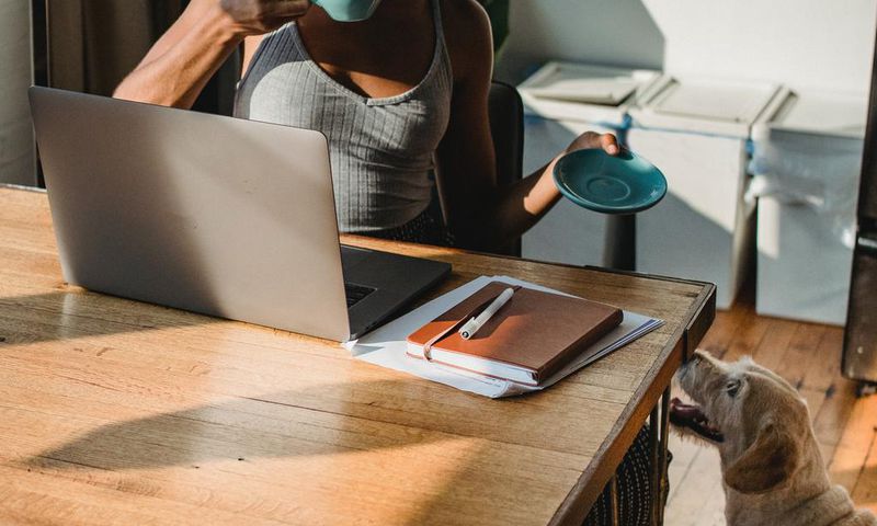 How to get a healthy pace when searching for a job/Pexels