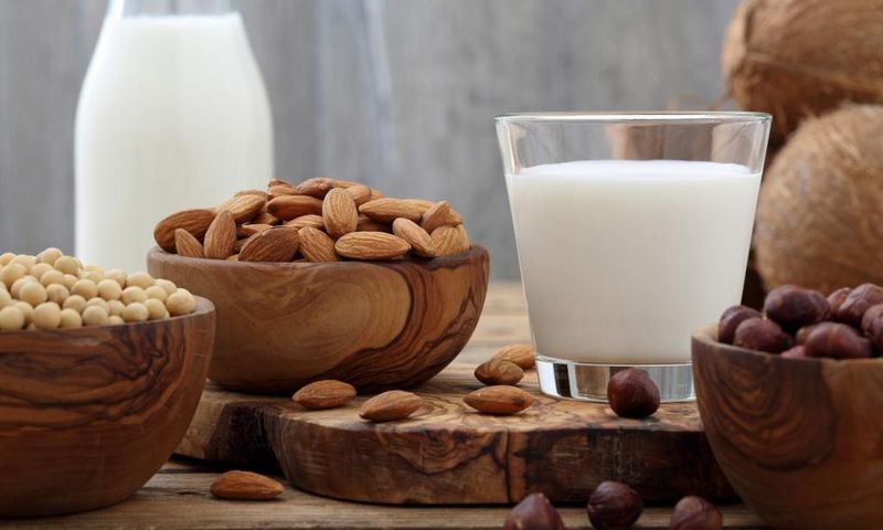 Food substitutes for people with lactose intolerance [ecokarma]