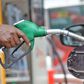Removal of fuel subsidy in Nigeria is for the best according to the World Bank